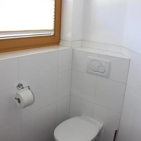 Daire Hollaus Elisabeth Stumm